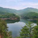 레드브릿지 이미지