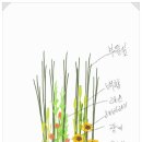 영우플라워가든