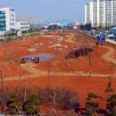 맹꽁이연구소 이미지