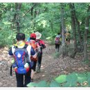 마장4리 이미지