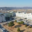 디지털보은 국제뉴스