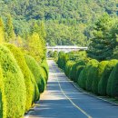 전남제재소 이미지