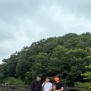 뉴-궁전제과