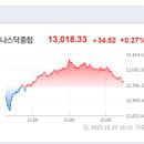 ㈜대우트럭동양광주2공장 | 2023년10월24일 뉴욕증시, 국채금리 주시 속 혼조 마감…다우 0.58%↓