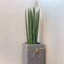 마음함께정신건강의학과의원 이미지