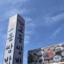 경주 힐튼 벚꽃&amp;조식 후기, 경주 벚꽃 현황, 경주 벚꽃 스팟