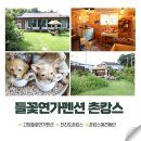 들꽃마당펜션 | 전라도 고창 촌캉스 독채 들꽃연가펜션 애견동반 2박 3일 내돈내산