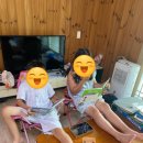 이정자 농장 네이버블로그