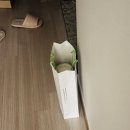 영중자두