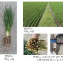 곡성농협고달지점 이미지