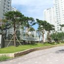 푸르지오신도시부동산공인중개사사무소 이미지