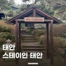 스테이인 태안 | 태안 숙소 추천 : 스테이인 태안 4호 프리미어 디럭스 내돈내산 방문후기
