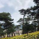 웰빙흑콩국수