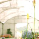 당북초등학교 이미지