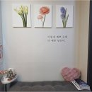 노바에스테틱 교대본점