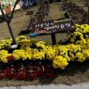 대일유치원 이미지