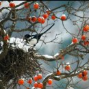 골든타임주유소 이미지