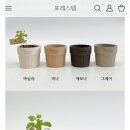 포레스텝