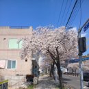 포시즌유황사우나 이미지