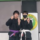 팀훅 복싱&주짓수 이미지