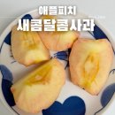 애플피치 인스타 광고보고 구매한 새콤달콤사과 솔직후기