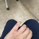 현풍동물병원 | 두번 다신 생선가게 털지 않아