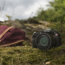 파라다이스호텔 이미지