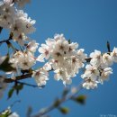 청수정가든 이미지