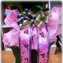 황금진족 이미지