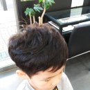 헤어살롱정희