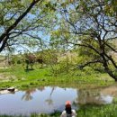 황매산군립공원 이미지