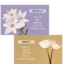 라비엘 이미지