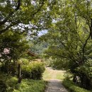 선류산장 | 포항 숲속 카페 선류산장후기