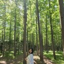 금곡2리 마을앞 화장실 | 영덕 오션뷰식당 베르데, 메타세콰이어숲, 무브온커피