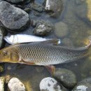 청량산 참 민박 이미지