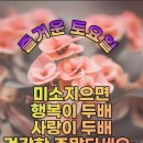 에이스환경 이미지