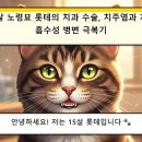 광주광역시축산업협동조합동물병원 | 광주 치과 동물병원, 15세 노령묘의 다수 발치와 안전한 마취 관리