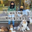 백야드빌더 이미지