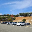 피노키오박물관(하슬라아트월드) | 강원도 강릉 아이랑 가볼만한곳 정동진 하슬라아트월드 미술관 피노키오 박물관