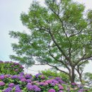 동광리-7 이미지