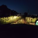 와룡축산1 이미지