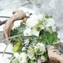 릴리플라워 이미지