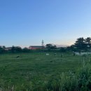 사랑각게스트하우스 이미지