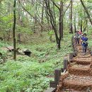 자락길 옹달샘 이미지