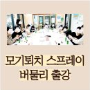 [여름특강] 여름을 건강하게 보내요(천연벌레퇴치제&버물리 만들기) | 천연 모기퇴치 스프레이 만들기 출강 수업, 성북구 동선이음 출강, 아로마뷰티솝