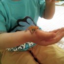 승민애견 이미지