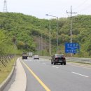 명품 벚꽃 길 이미지