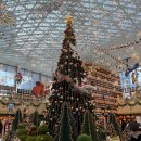 해양동작은도서관 | 씨라이프 코엑스 아쿠아리움 – 해양탐험선·인어공주 공연·별마당도서관까지 하루 코스