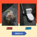 수원-0409 이미지