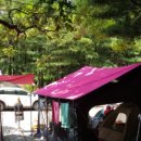 용인힐링캠핑장 이미지